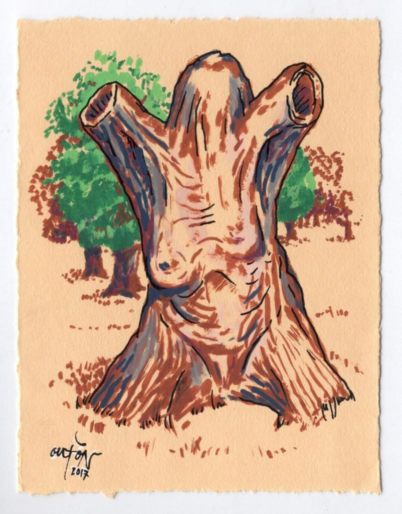 Codea de arbore na fraga de Extasela_Fisterras de Nengures_Outon_dibujo_debuxo_debujo_drawing