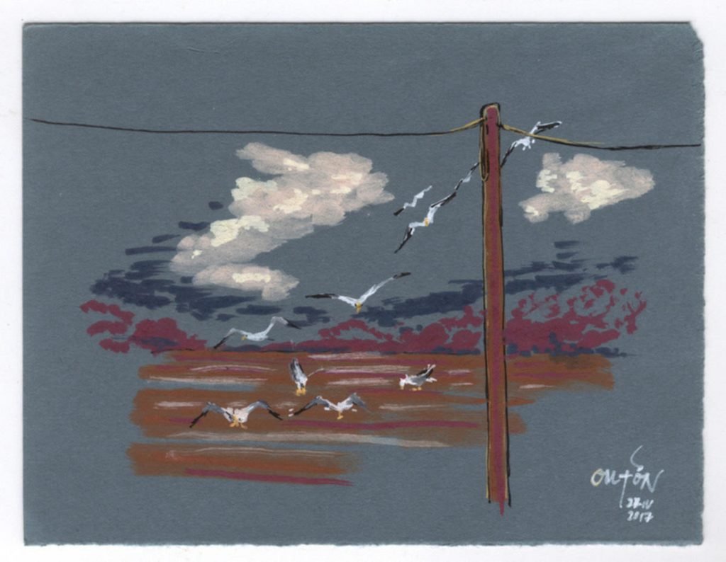 Leira nas Neboeiras_Fisterras de Nengures_Outon_dibujo_debuxo_debujo_drawing